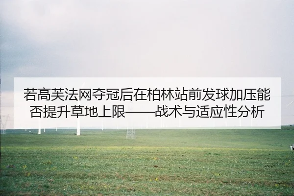 ruo-gao-fu-fa-wang-duo-guan-hou-zai-bo-lin-zhan-qian-fa-qiu-jia-ya-neng-fou-ti-sheng-cao-di-shang-xian-zhan-shu-yu-shi-2-289.jpg