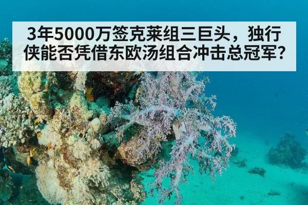 3年5000万签克莱组三巨头,独行侠能否凭借东欧汤组合冲击总冠军?